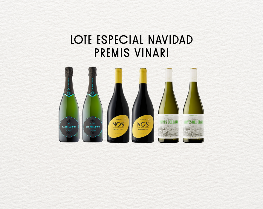 LOTE ESPECIAL NAVIDAD